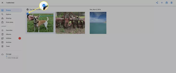 ابحث عن الصور التي تريد تصديرها img credits: Joshua Hawkins @lifewire.com