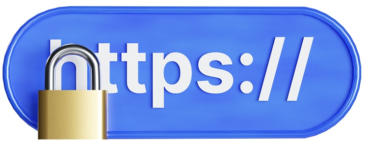 تأكد من وجود شهادة SSL